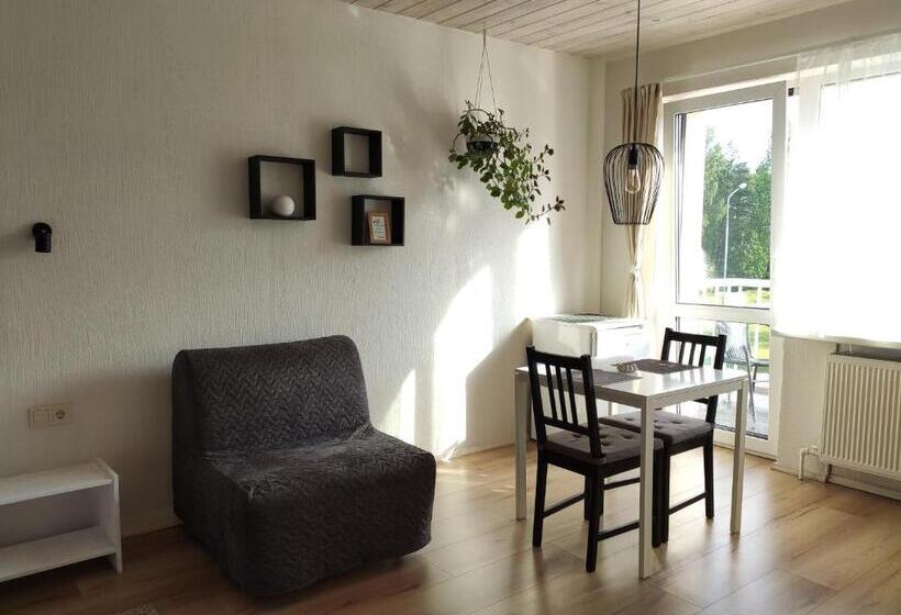 ویلای 1 خوابه, Family House