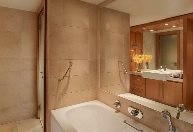带河湖景观的套房, Park Plaza London Riverbank