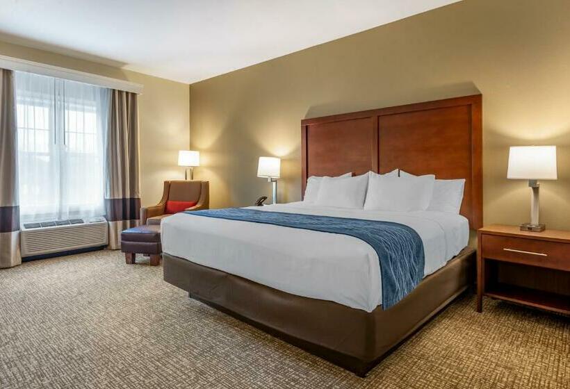 Quarto Estandar Cama King, Comfort Inn