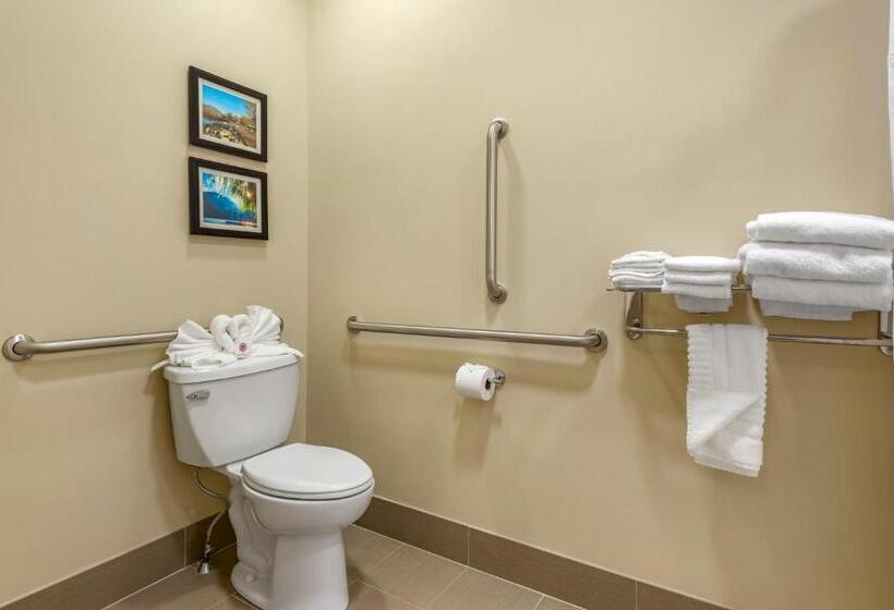 Quarto Estandar Cama King para Deficientes Físicos, Comfort Inn