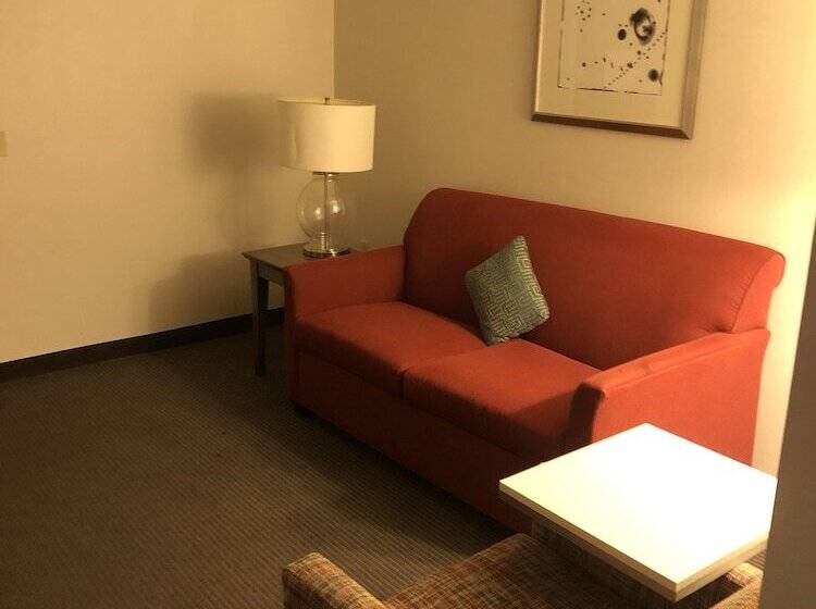סוויטה, Hampton Inn & Suites Milwaukee Downtown