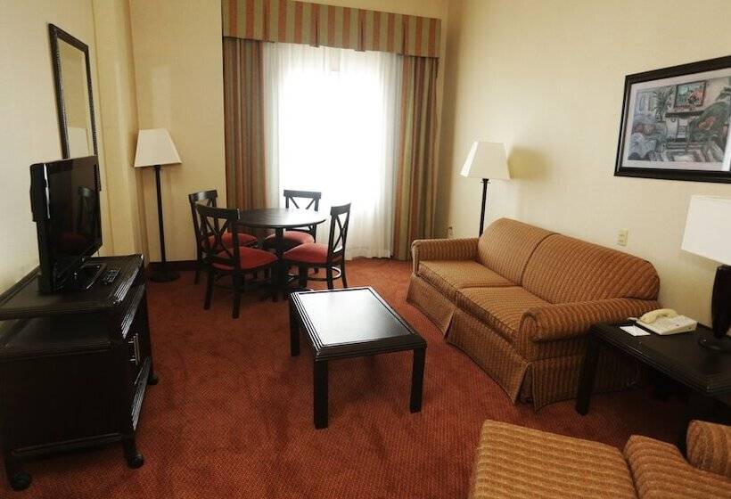 套房, Holiday Inn Matamoros, An Ihg