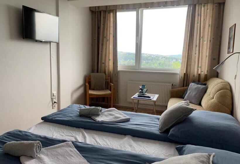 Standard Room Lake View, Penzion Kozí Horka U Brněnské Přehrady