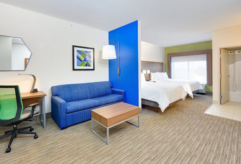 Номер Стандарт, Holiday Inn Express & Suites Austin Round Rock By Ihg