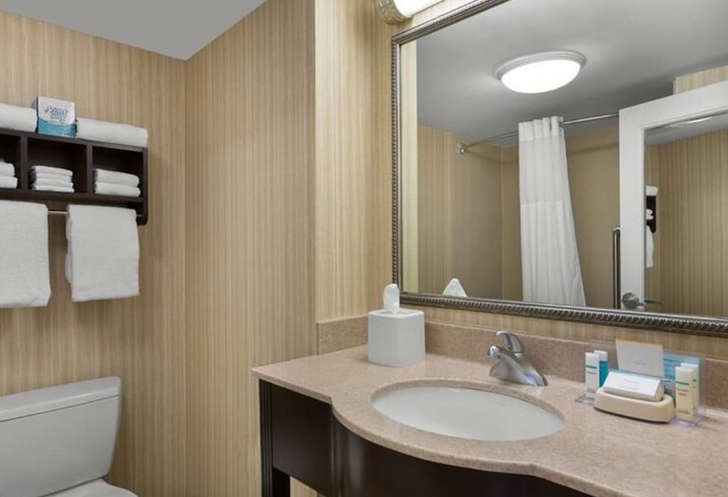 Quarto Estandar Cama Casal para Deficientes Físicos, Hampton Inn & Suites Myrtle Beach/oceanfront