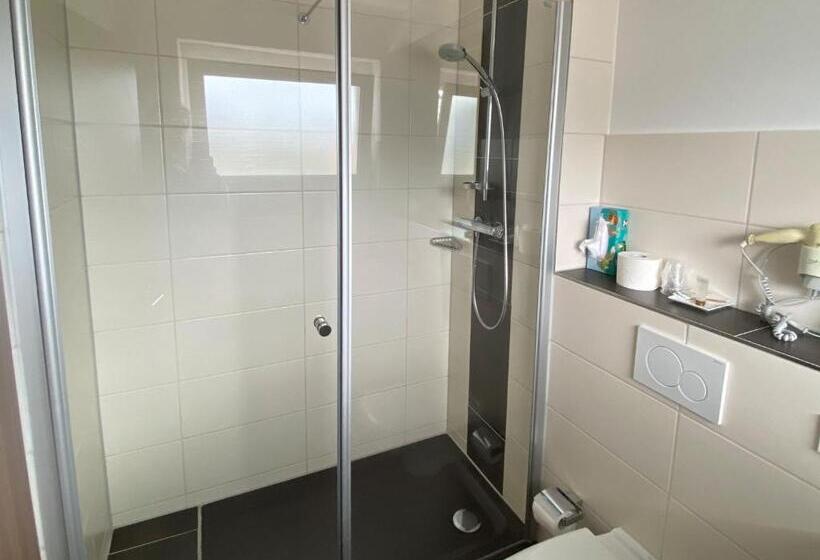 Номер Deluxe Одноместный, Zum Ziel Hotel Grenzach Wyhlen Bei Basel