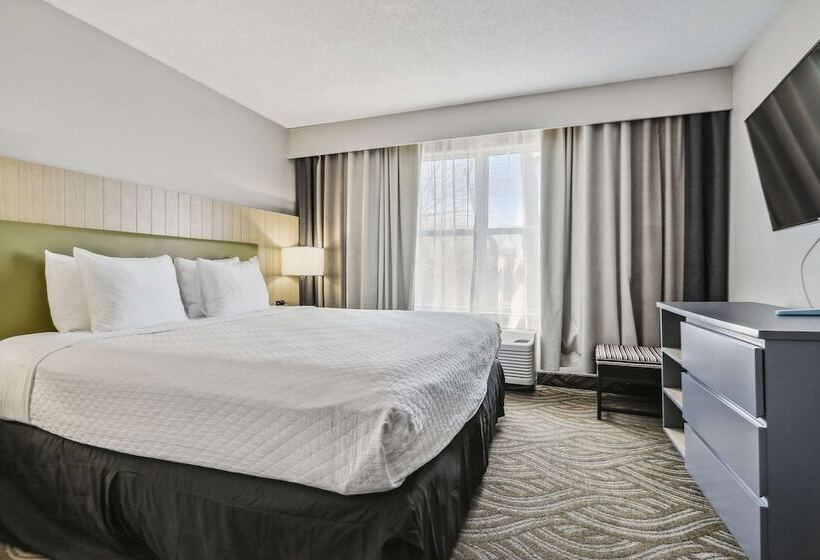 장애인을 위한 스위트, Country Inn & Suites By Radisson Chicago O Hare South Il