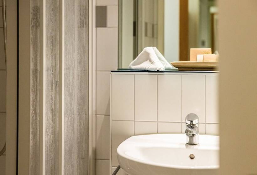 Номер Стандарт, Odelya Hotel & Naturgarten Basel City