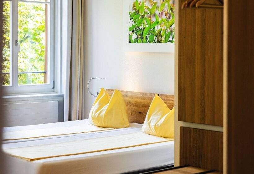 Номер Стандарт, Odelya Hotel & Naturgarten Basel City