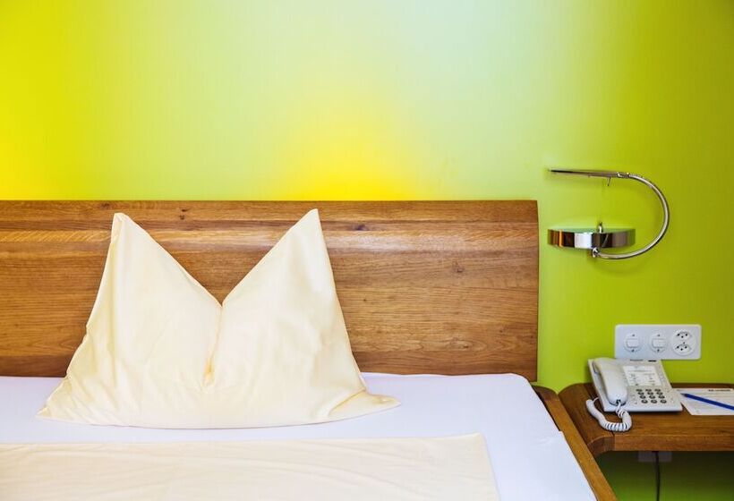 Номер Стандарт Индивидуальный, Odelya Hotel & Naturgarten Basel City