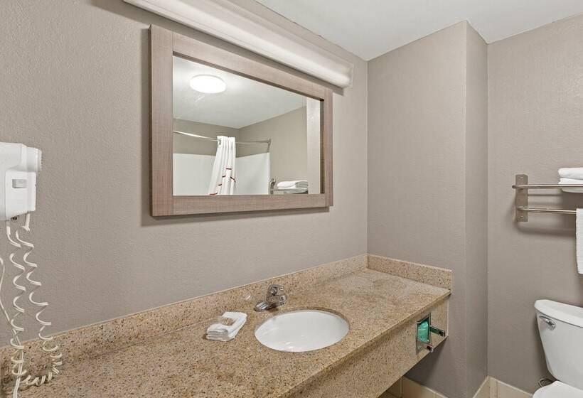 Номер Deluxe, Red Roof Inn & Suites Newnan