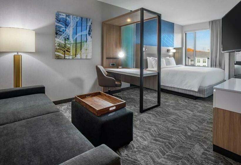 Люкс Кровать Кинг, Springhill Suites By Marriott Wrentham Plainville