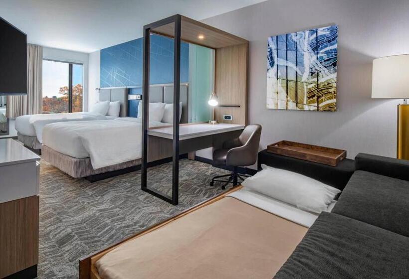 Люкс, Springhill Suites By Marriott Wrentham Plainville