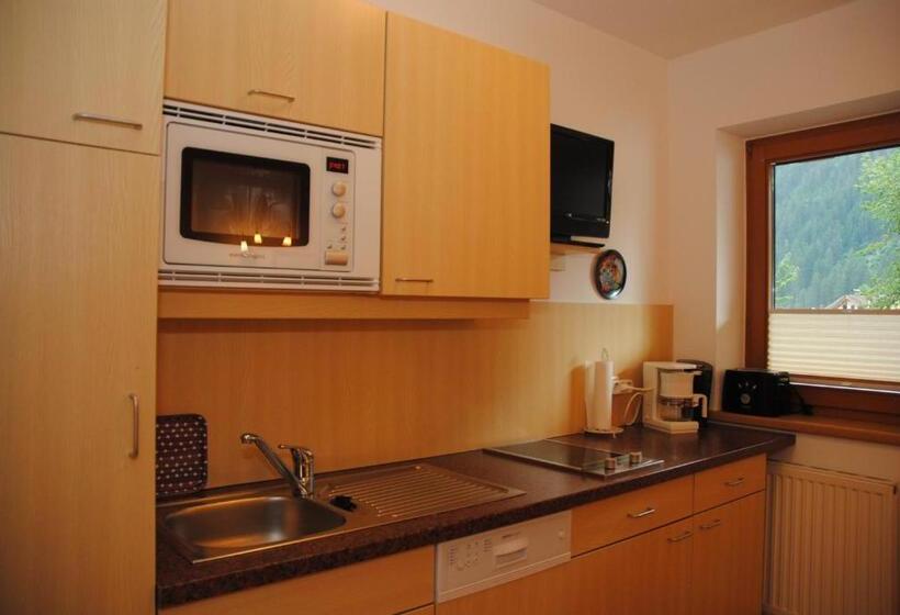 آپارتمان 1 خوابه با بالکن, Gästehaus Rieser