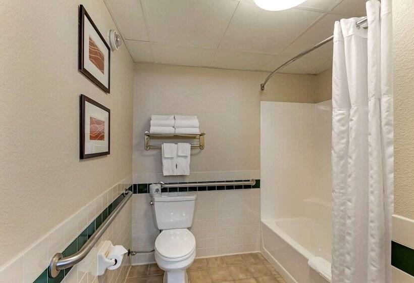 장애인을 위한 스위트, Comfort Inn & Suites Jackson   West Bend