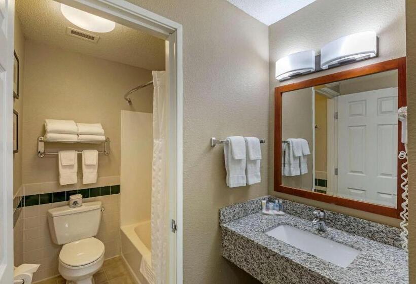 스탠다드 룸, Comfort Inn & Suites Jackson   West Bend