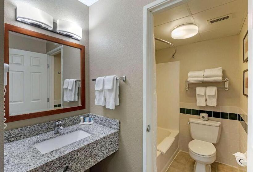 스위트, Comfort Inn & Suites Jackson   West Bend