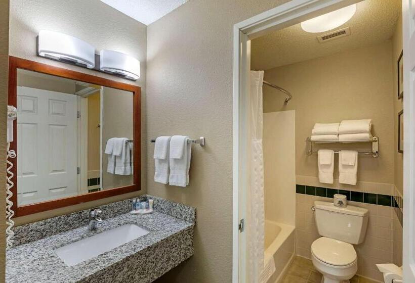 스탠다드 룸, Comfort Inn & Suites Jackson   West Bend