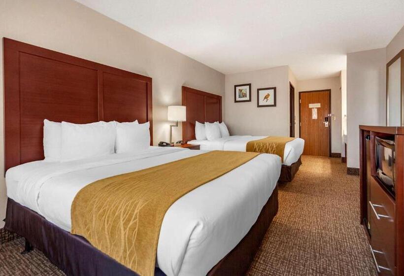 Номер Deluxe, Comfort Inn Grand Island North