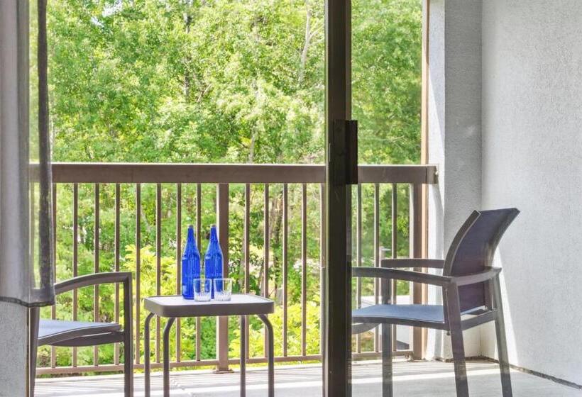 Номер Стандарт, Courtyard Burlington Williston