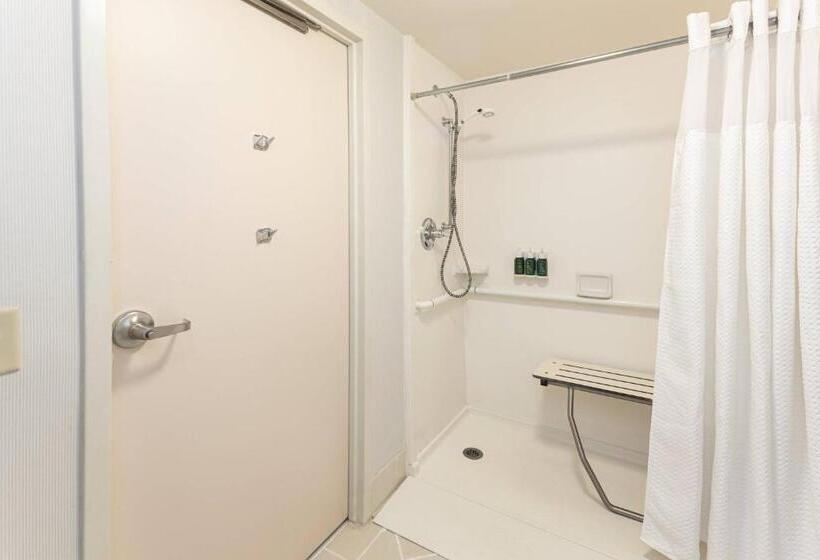 带大床的套房, Courtyard By Marriott Charlottesville   University Medical Center