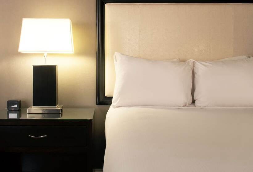 스탠다드 룸 더블 침대 2개, Hilton Alexandria Old Town