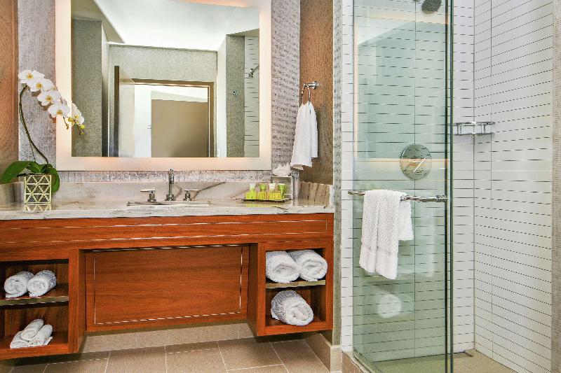 סוויטת ג'וניור מיטת קינג, Hilton Dallas/park Cities