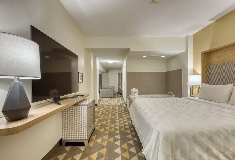 Suite, Holiday Inn Hotel & Suites Madison West, An Ihg