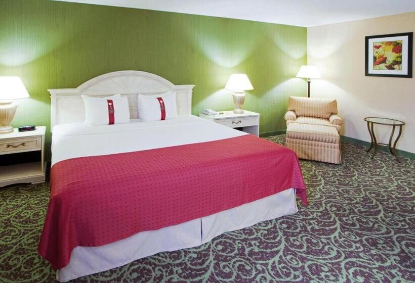 اتاق اجرایی با تخت بزرگ, Holiday Inn Chantilly Dulles Expo Airport, An Ihg
