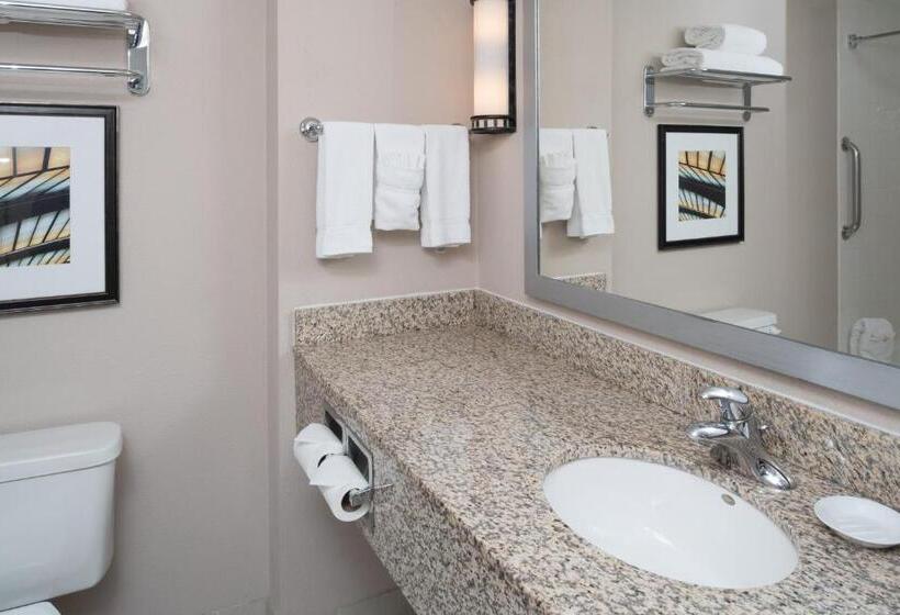 장애인을 위한 킹사이즈 침대 스탠다드 룸, Holiday Inn Express Spokane Airport, An Ihg