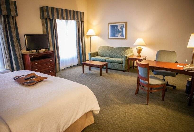 Studio Standard, Hampton Inn & Suites Springfield Southwest