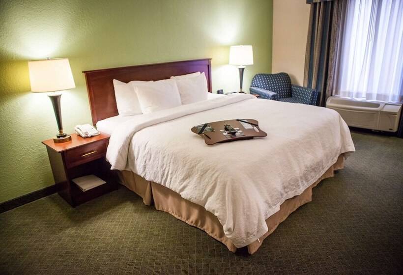 Suite, Hampton Inn & Suites Springfield Southwest