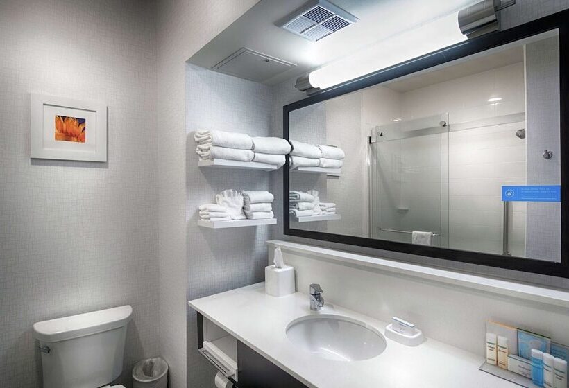 스탠다드 룸 더블 침대 2개, Hampton Inn Salina