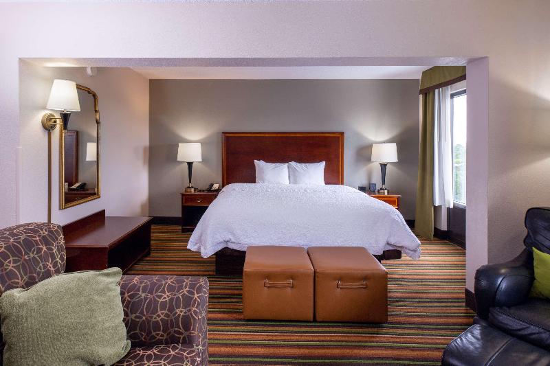 带大床的套房, Hampton Inn Winstonsalem Hanes Mall