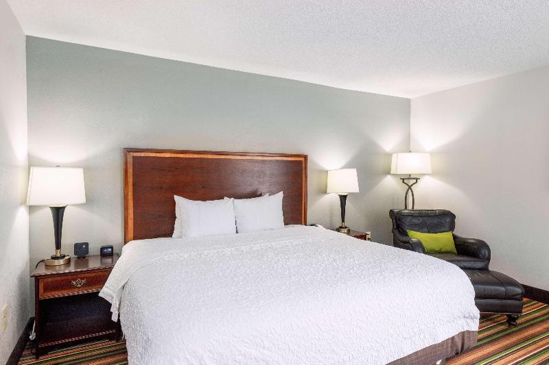 带大床的套房, Hampton Inn Winstonsalem Hanes Mall