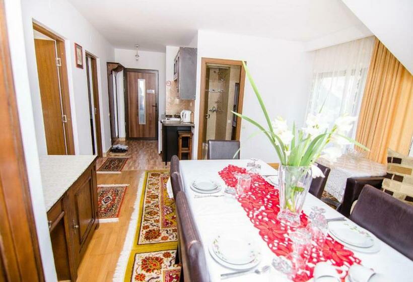 ２ベッドルームアパートメント, Pension Casa Medievala