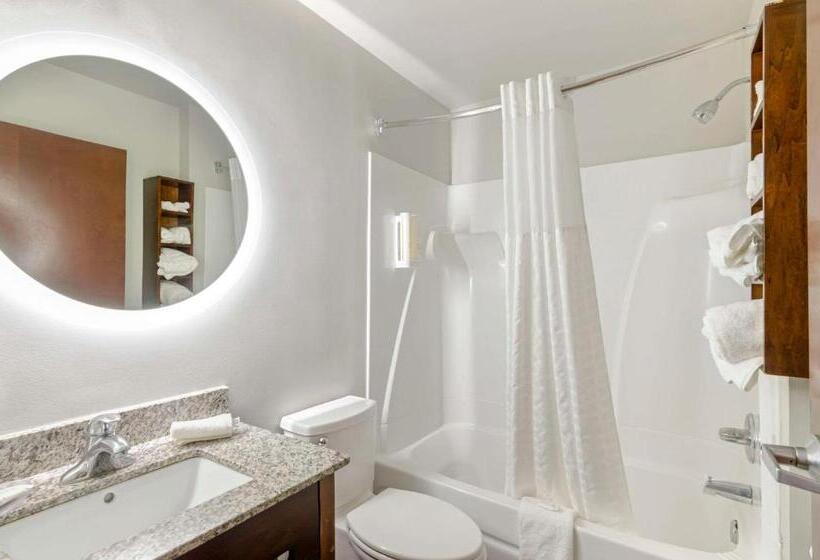 Номер Стандарт, Clarion Pointe Staunton East