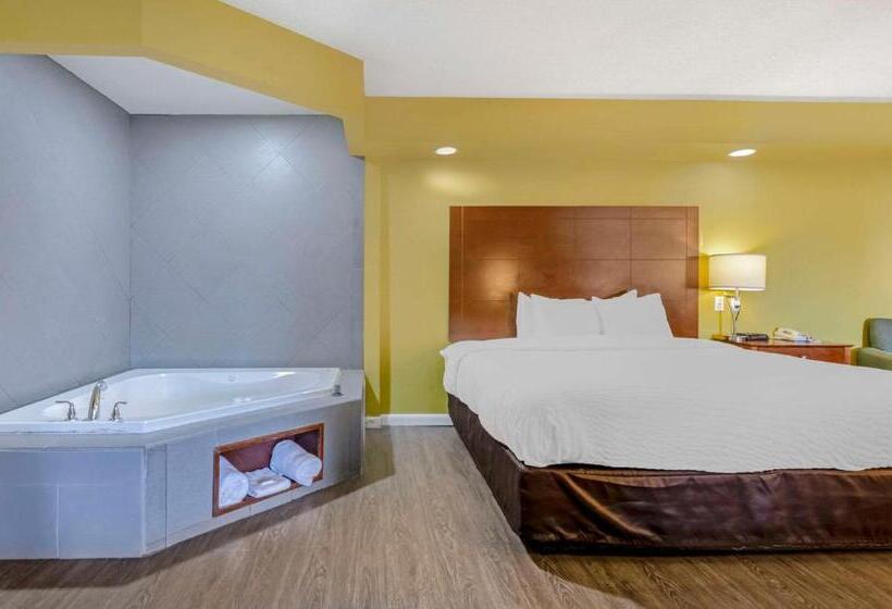 Люкс с гидромассажем, Clarion Pointe Staunton East