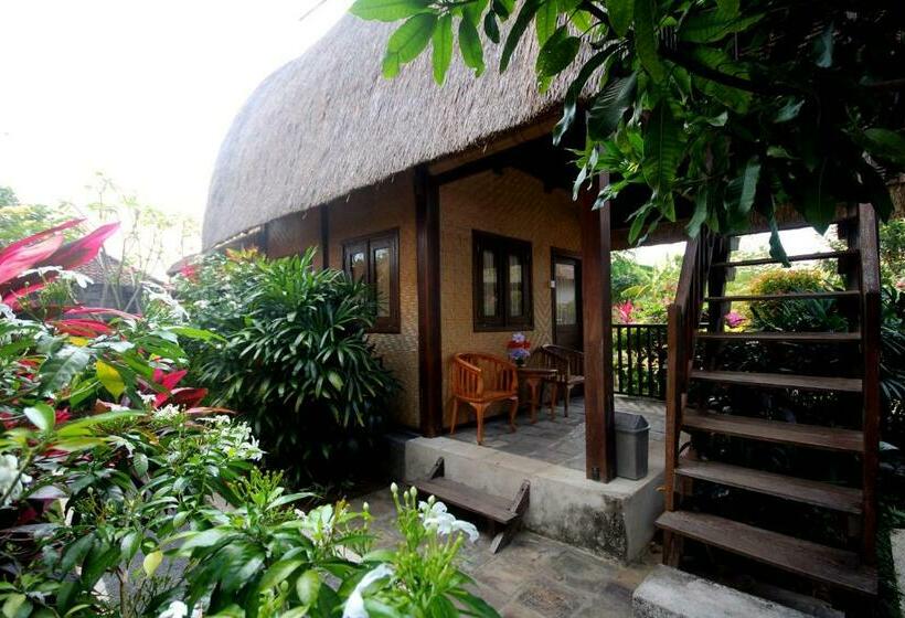 Номер Стандарт, Rambo Homestay