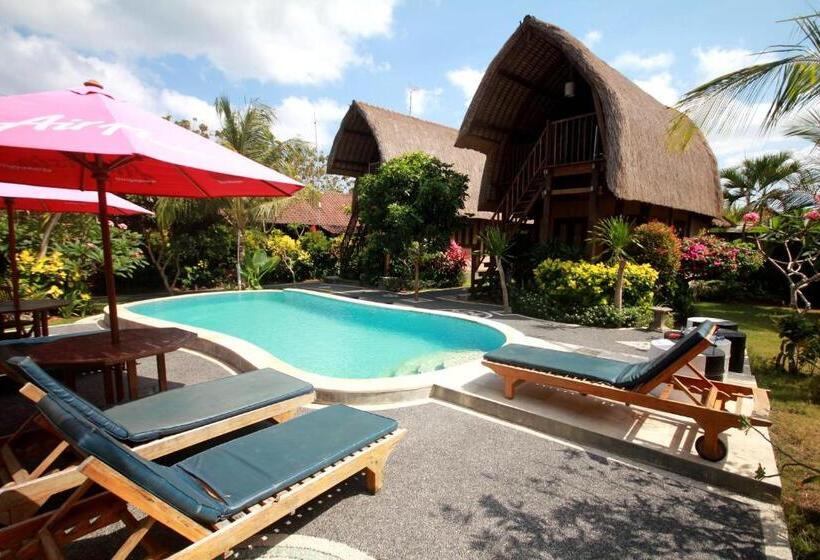 Номер Стандарт, Rambo Homestay