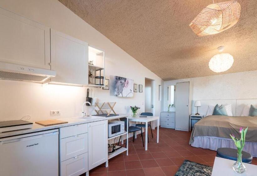 استودیوی استاندارد, Schloss Castel Pienzenau   Guestrooms & Apartments   B&b Hotel & Restaurant