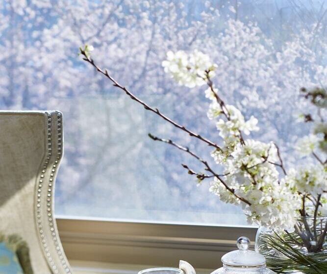 سوئیت پریمیوم, Salamander Washington Dc