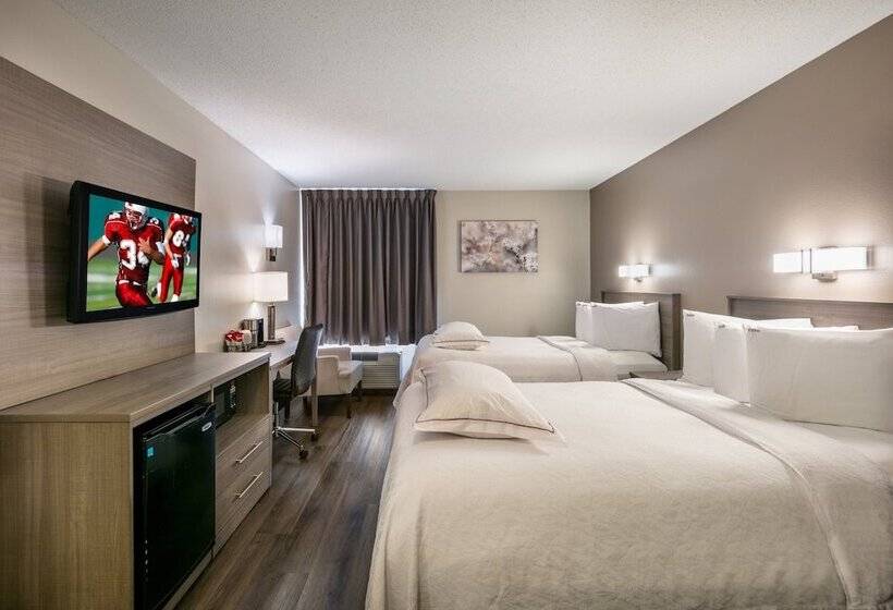 Quarto Premium, Red Roof Inn Plus+ Boston   Logan