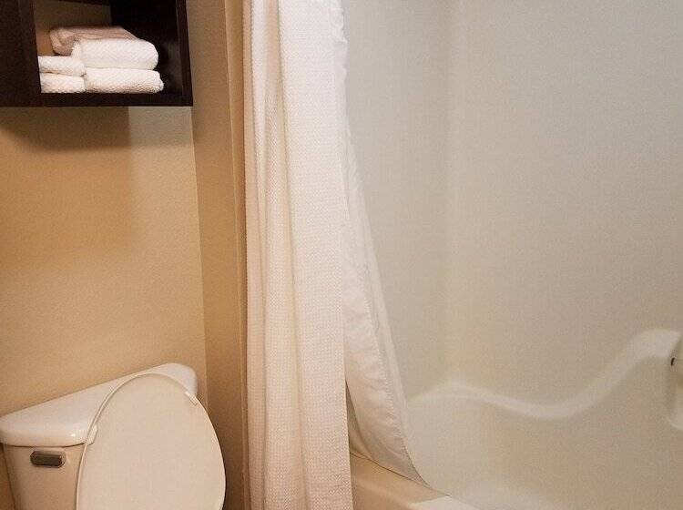 Suite, Staybridge Suites Indianapolis Fishers, An Ihg