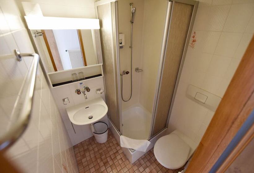 Номер Стандарт с Балконом, Waldhotel Unspunnen