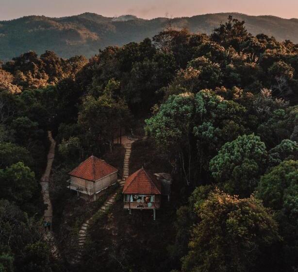 Номер Стандарт, Living Heritage Koslanda