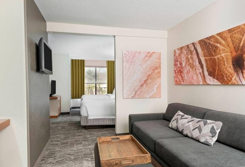 Suíte para Deficientes Físicos, Springhill Suites Asheville