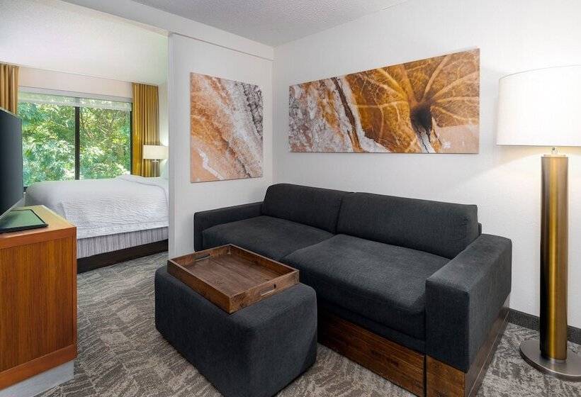 Suíte para Deficientes Físicos, Springhill Suites Asheville