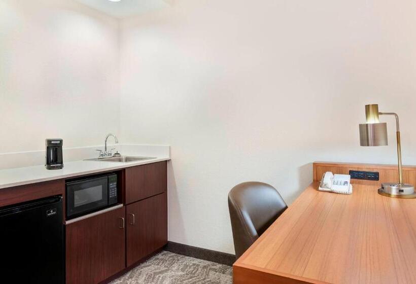 Suíte Cama King, Springhill Suites Asheville