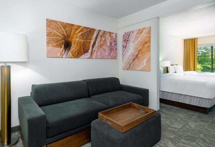 Suíte para Deficientes Físicos, Springhill Suites Asheville